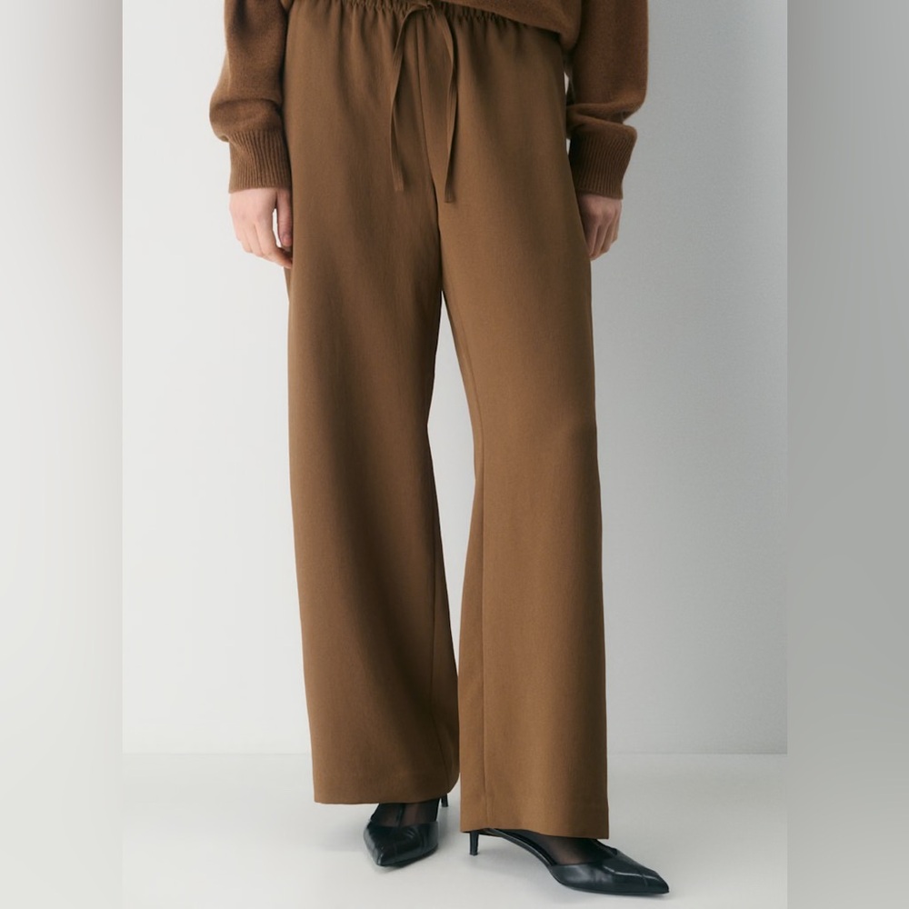 Viral Aritzia Lodge Pant